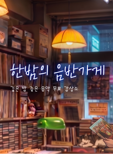 한밤의 음반가게